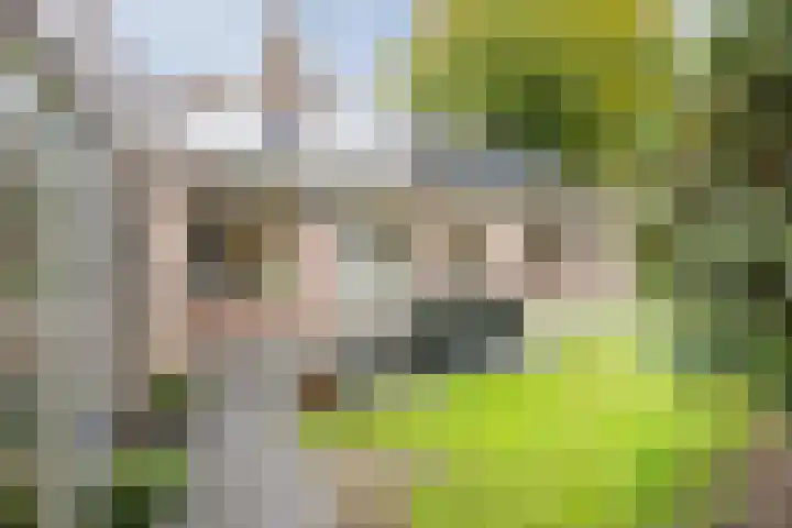 Achterslagen 30 Steenwijk thumbnail 43