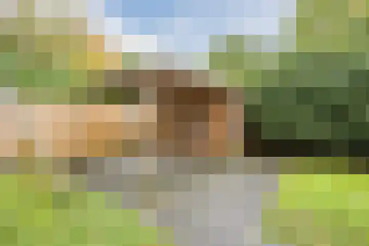 Achterslagen 30 Steenwijk thumbnail 44