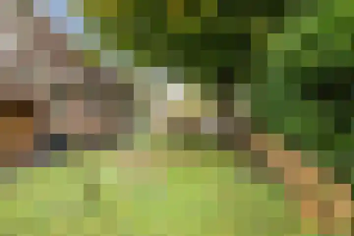 Achterslagen 30 Steenwijk thumbnail 45