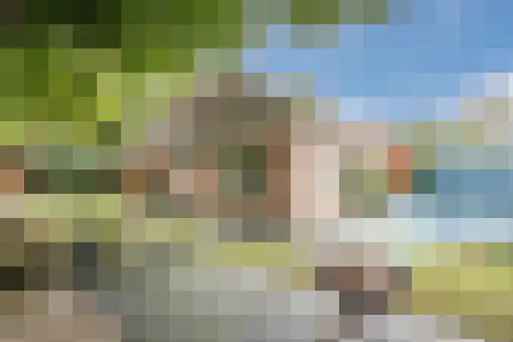 Achterslagen 30 Steenwijk thumbnail 46