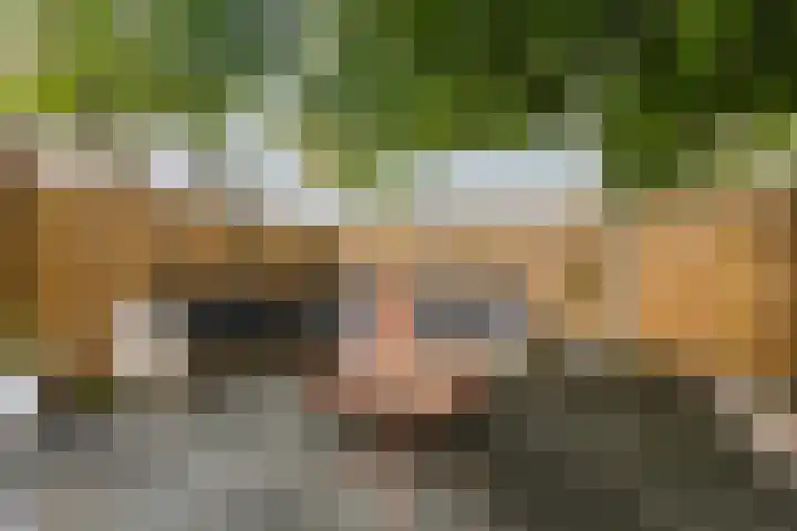 Achterslagen 30 Steenwijk thumbnail 47