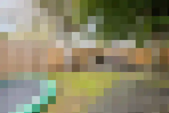 Achterslagen 30 Steenwijk thumbnail 48
