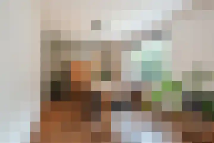 Achterslagen 30 Steenwijk thumbnail 8