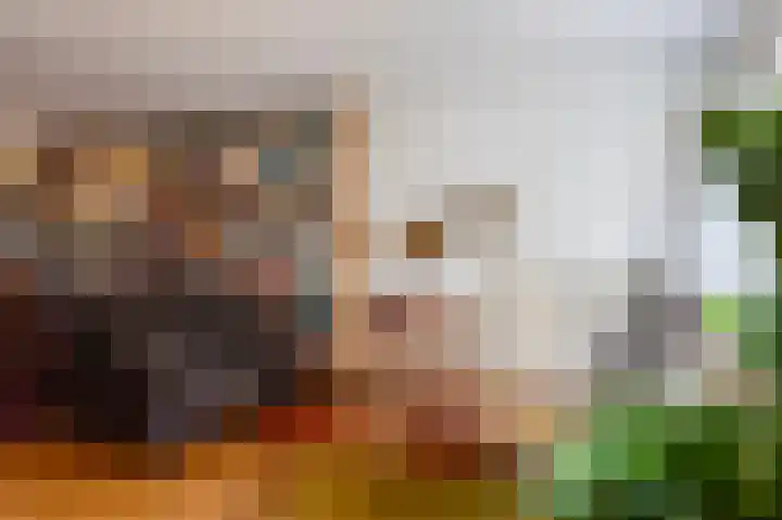Achterslagen 4 Steenwijk thumbnail 13