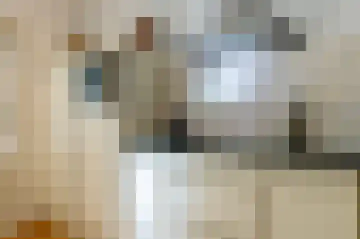 Achterslagen 4 Steenwijk thumbnail 15