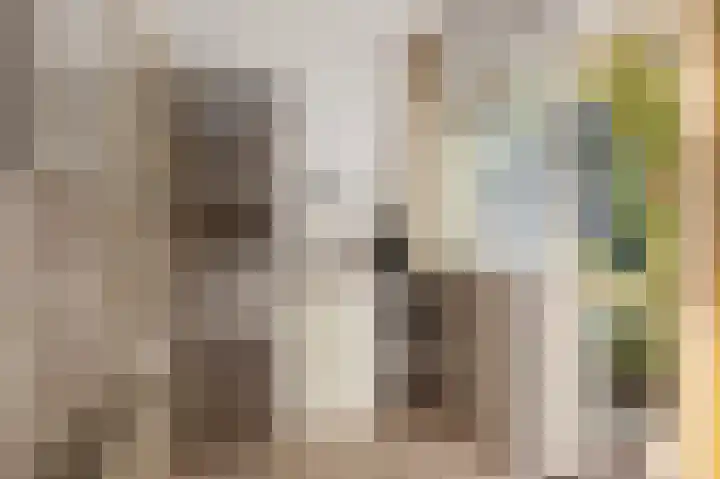 Achterslagen 4 Steenwijk thumbnail 16