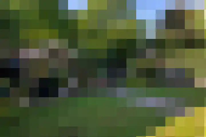 Achterslagen 4 Steenwijk thumbnail 40
