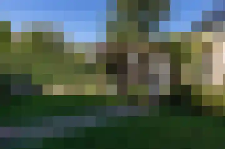 Achterslagen 4 Steenwijk thumbnail 41