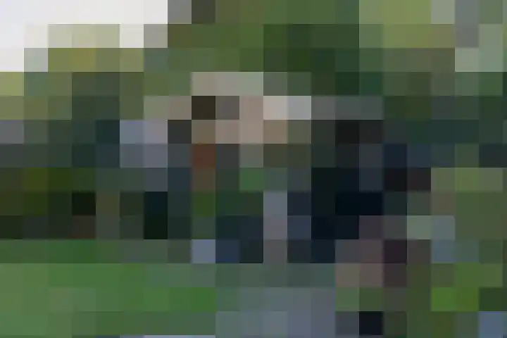 Achterslagen 4 Steenwijk thumbnail 43