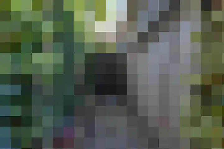 Achterslagen 4 Steenwijk thumbnail 44