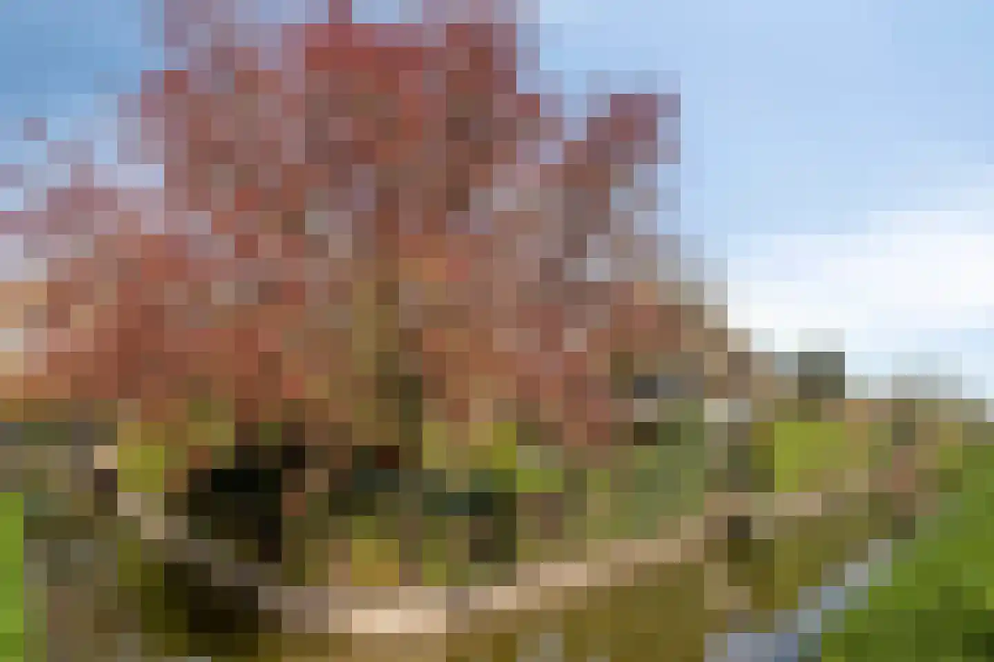 Achtersloot 108 IJsselstein thumbnail 6