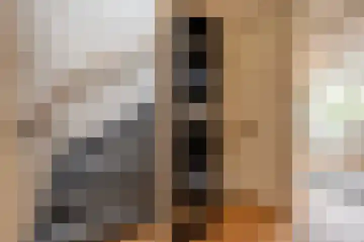 Achtersloot 34 Oud-Beijerland thumbnail 18