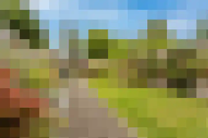 Achtersloot 34 Oud-Beijerland thumbnail 31