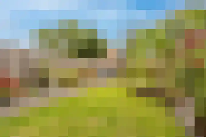 Achtersloot 34 Oud-Beijerland thumbnail 32