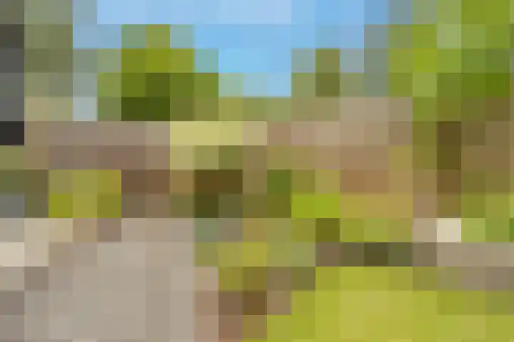 Achtersloot 34 Oud-Beijerland thumbnail 33