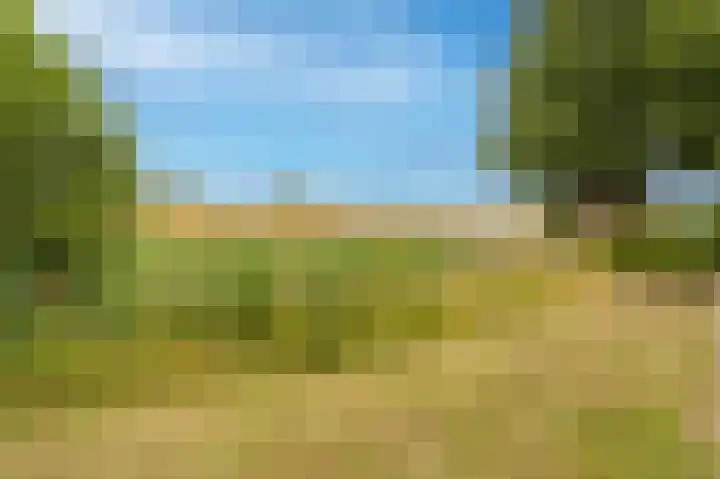 Achtersloot 34 Oud-Beijerland thumbnail 36