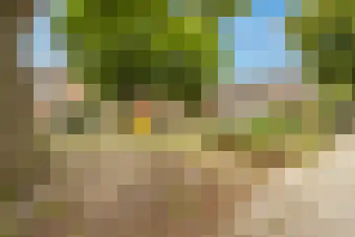 Achtersloot 34 Oud-Beijerland thumbnail 39