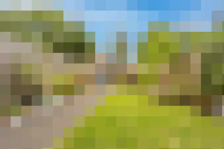 Achtersloot 34 Oud-Beijerland thumbnail 4