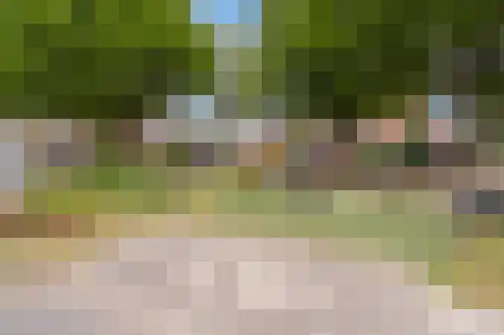 Achtersloot 34 Oud-Beijerland thumbnail 40