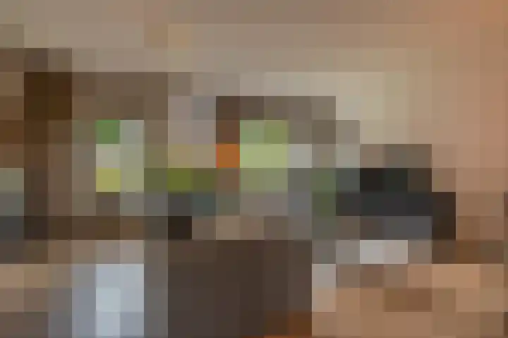 Achtersloot 34 Oud-Beijerland thumbnail 8
