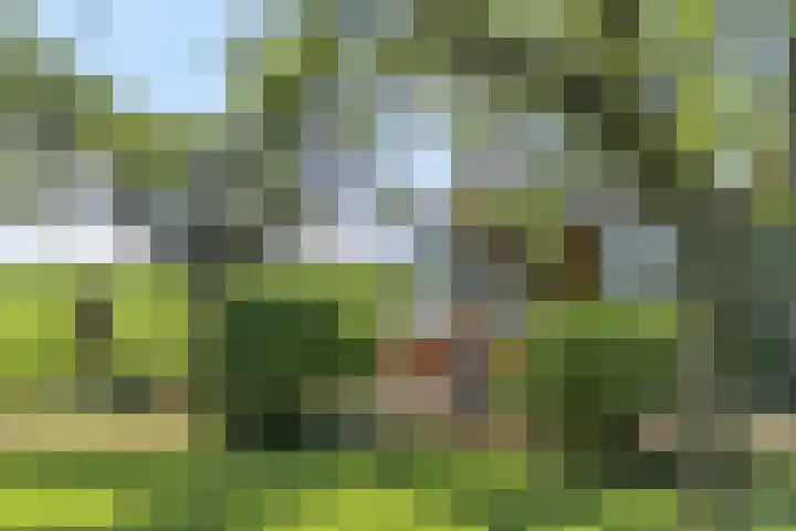 Achtersloot 41 b IJsselstein thumbnail 4