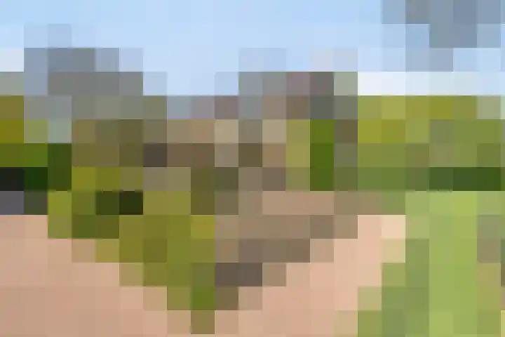 Achtersloot 41 b IJsselstein thumbnail 40