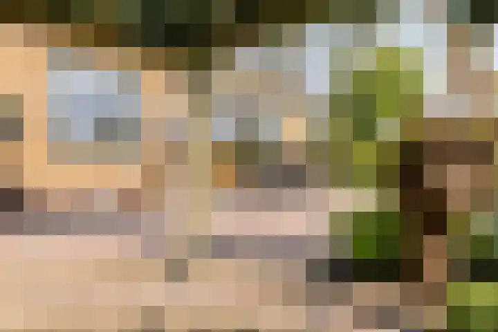Achtersloot 41 b IJsselstein thumbnail 42