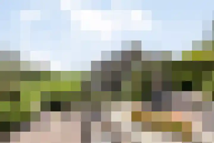 Achtersloot 41 b IJsselstein thumbnail 45