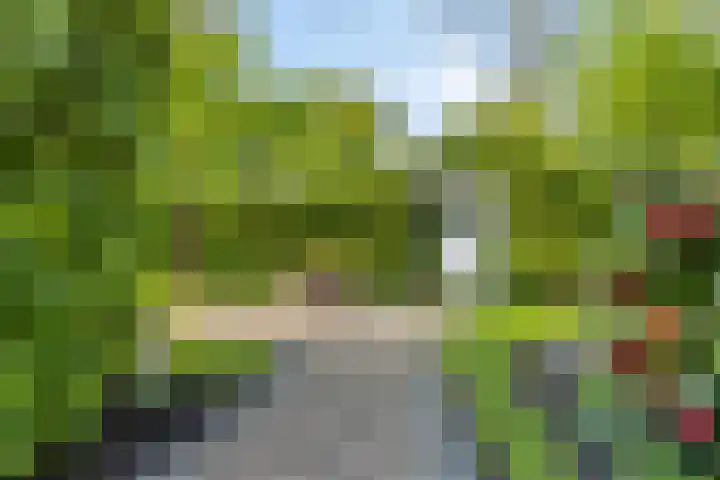 Achtersloot 41 b IJsselstein thumbnail 54