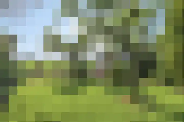 Achtersloot 41 b IJsselstein thumbnail 57