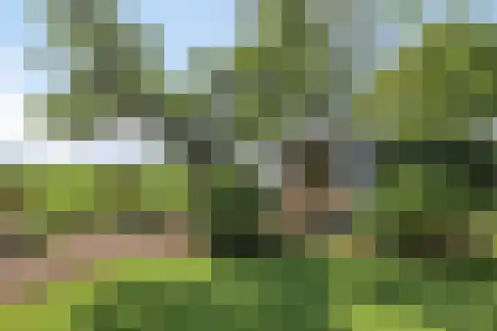 Achtersloot 41 b IJsselstein thumbnail 58
