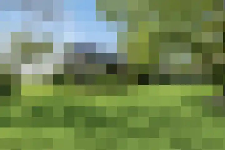 Achtersloot 41 b IJsselstein thumbnail 6