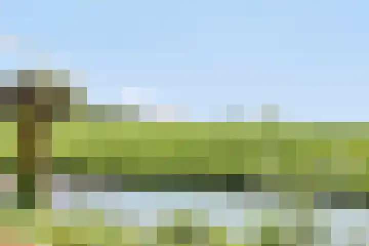 Achtersloot 41 b IJsselstein thumbnail 61