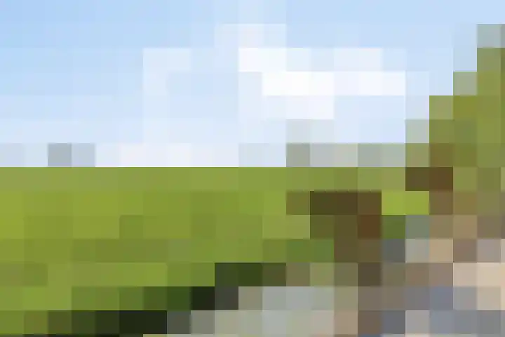Achtersloot 41 b IJsselstein thumbnail 64