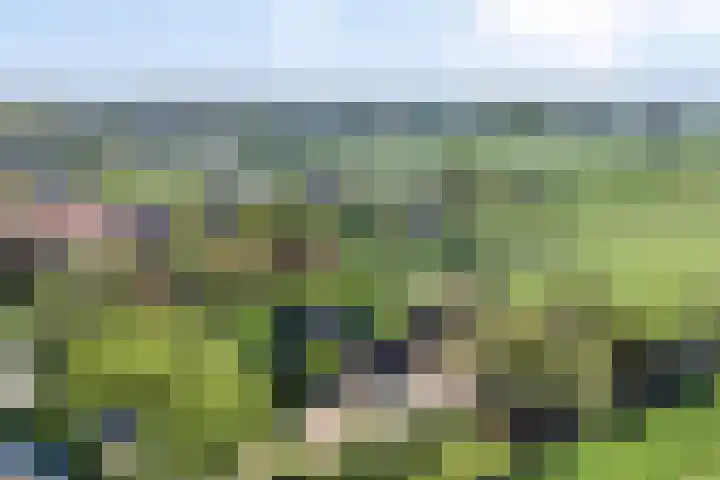 Achtersloot 41 b IJsselstein thumbnail 68