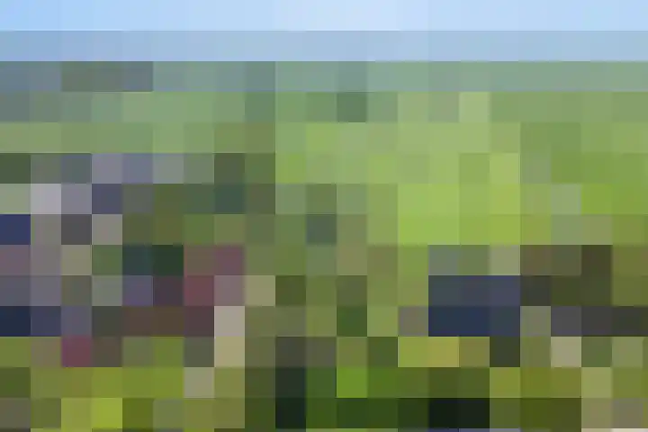 Achtersloot 41 b IJsselstein thumbnail 69