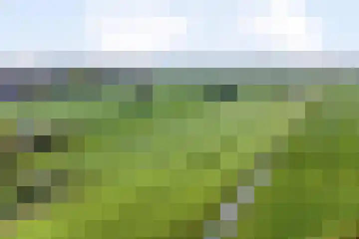 Achtersloot 41 b IJsselstein thumbnail 70