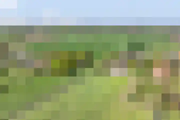 Achtersloot 41 b IJsselstein thumbnail 73