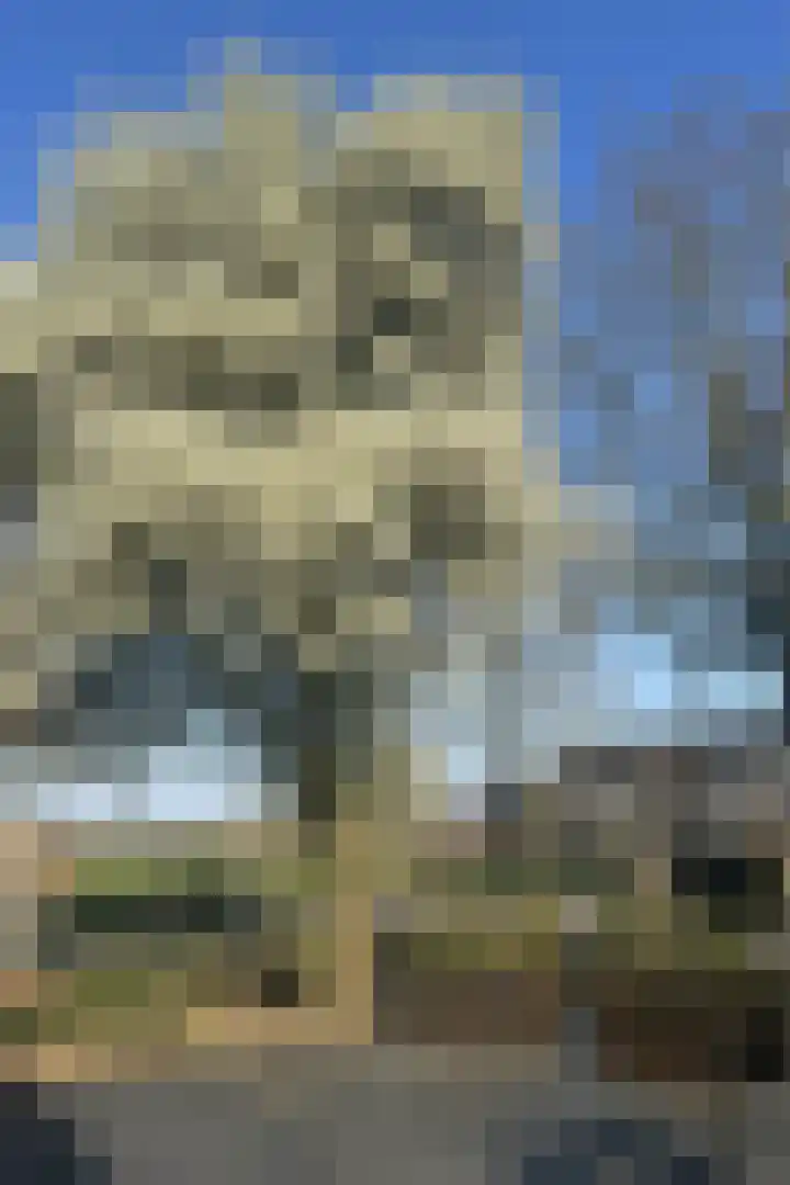 Achtersloot 47 IJsselstein thumbnail 63