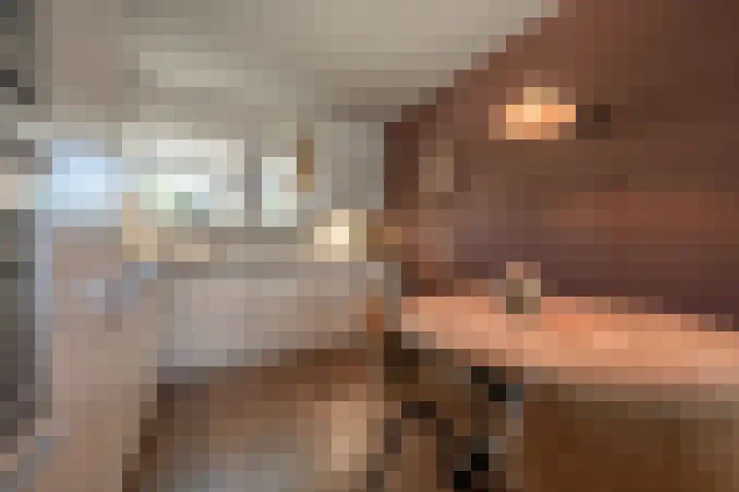 Achtersloot 6 Oud-Beijerland thumbnail 12