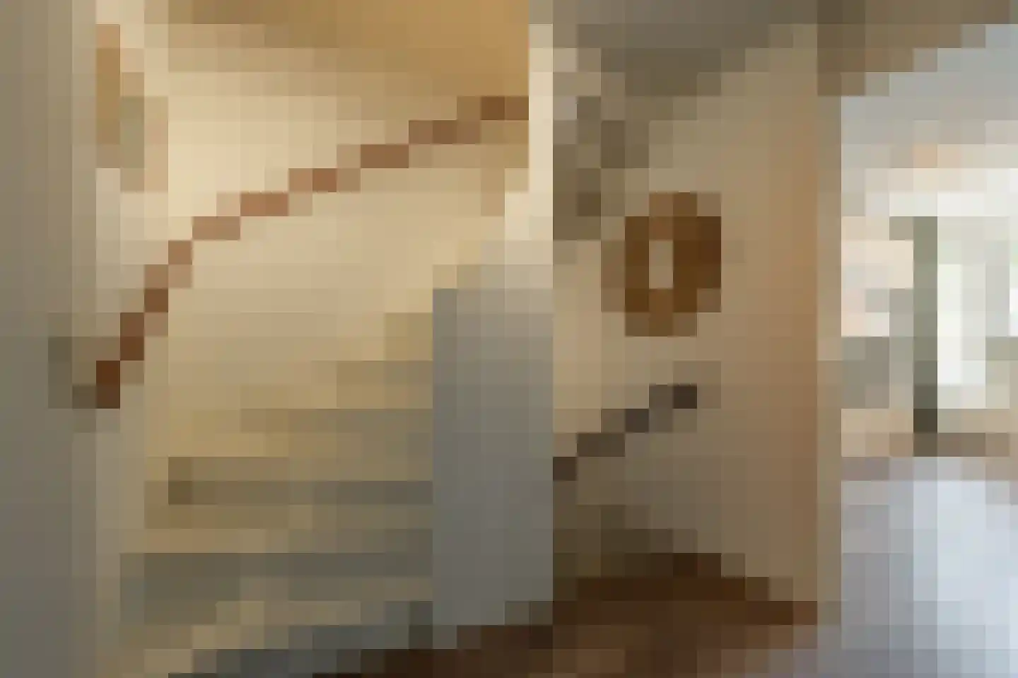 Achtersloot 6 Oud-Beijerland thumbnail 16