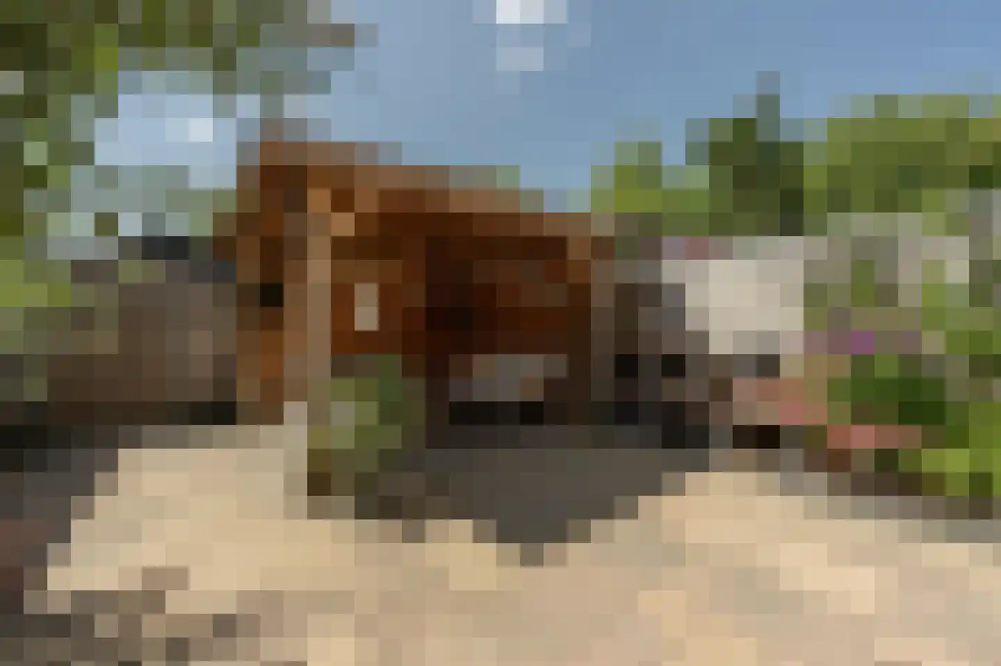 Achtersloot 6 Oud-Beijerland thumbnail 38