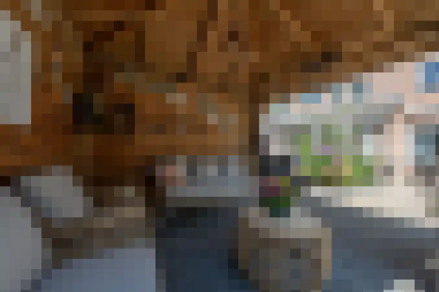 Achtersloot 6 Oud-Beijerland thumbnail 39