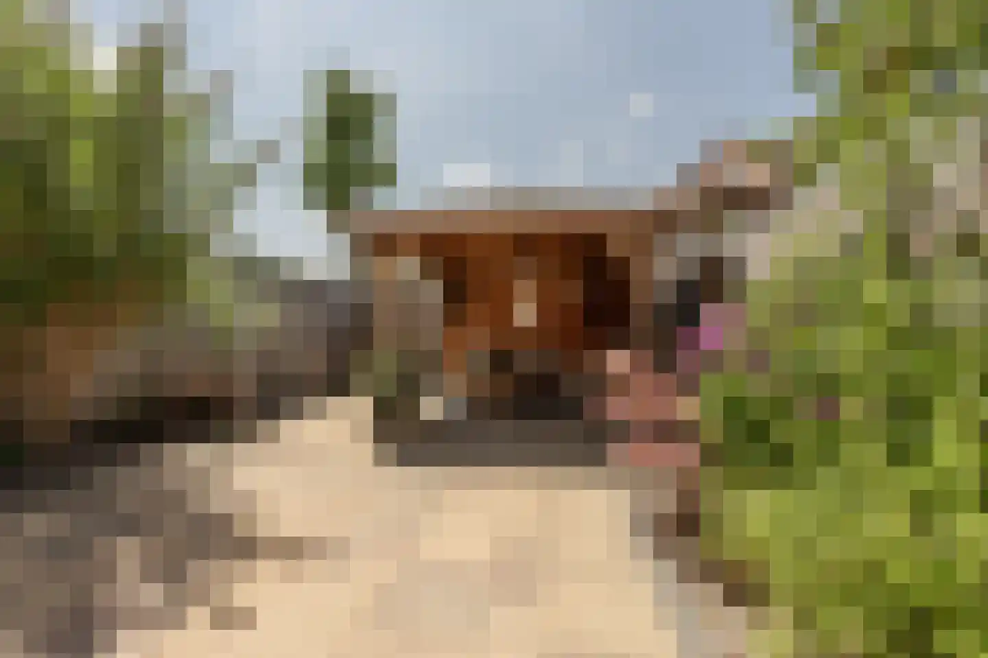 Achtersloot 6 Oud-Beijerland thumbnail 4