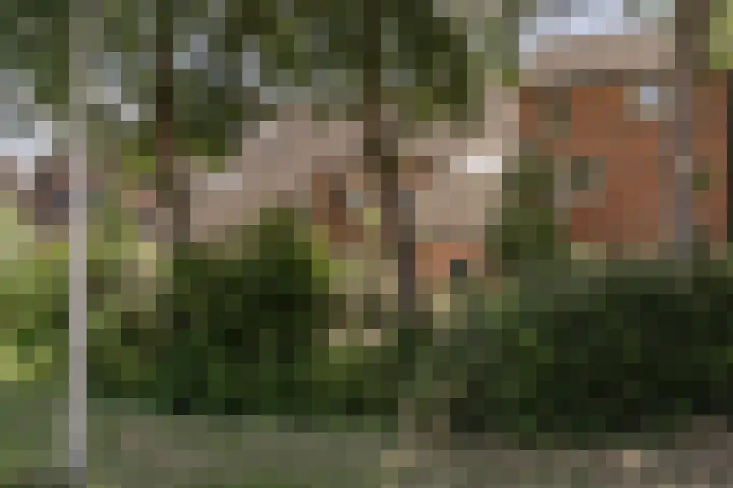 Achtersloot 6 Oud-Beijerland thumbnail 41