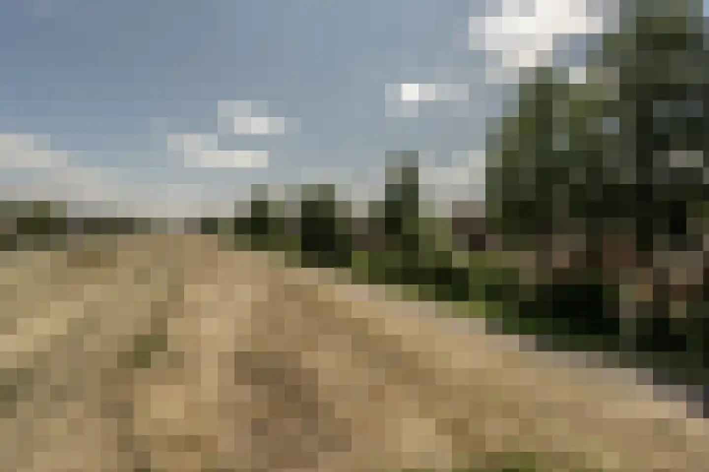 Achtersloot 6 Oud-Beijerland thumbnail 43