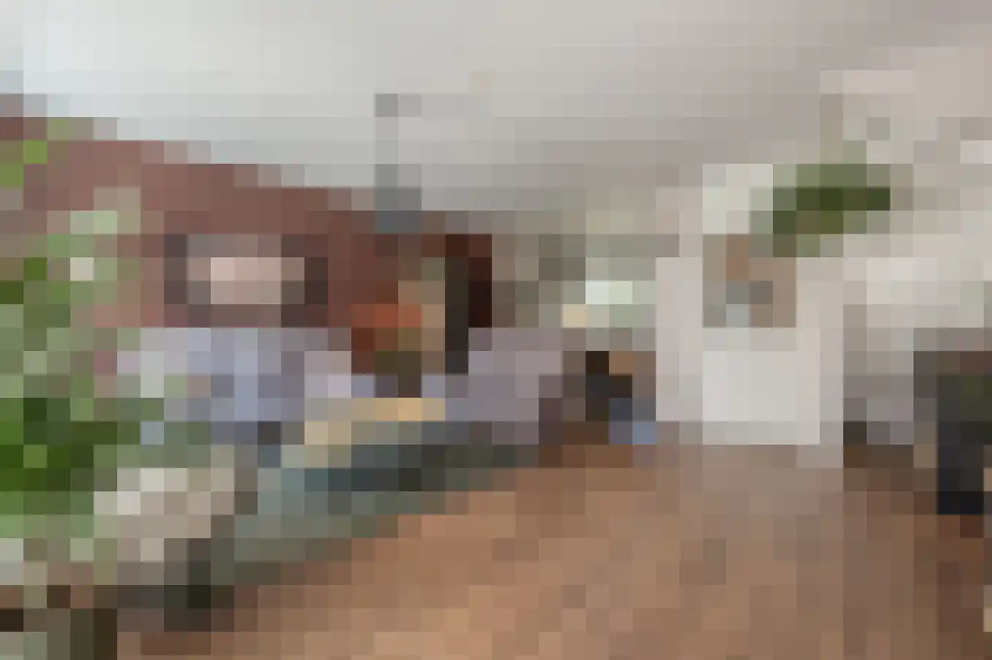 Achtersloot 6 Oud-Beijerland thumbnail 8