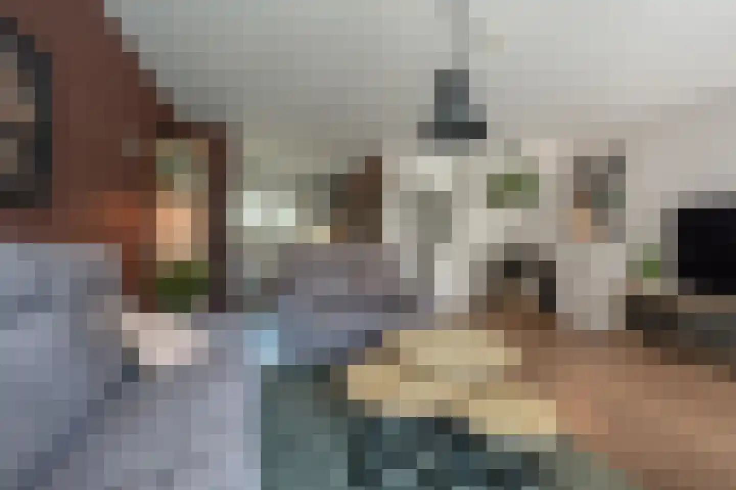 Achtersloot 6 Oud-Beijerland thumbnail 9