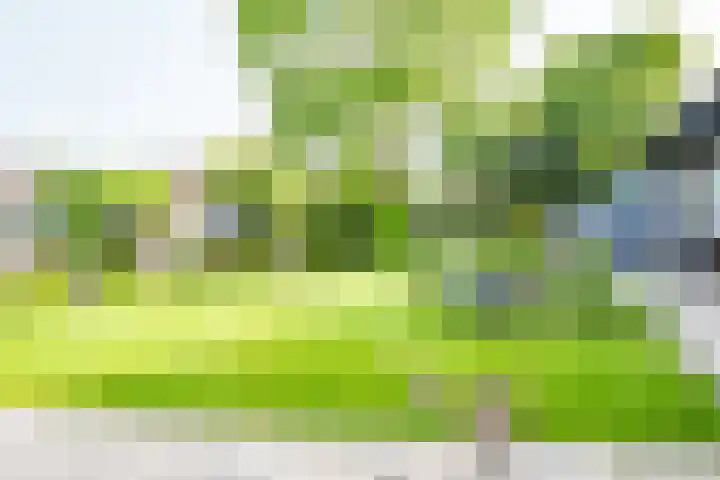 Achtersloot 76 IJsselstein thumbnail 31