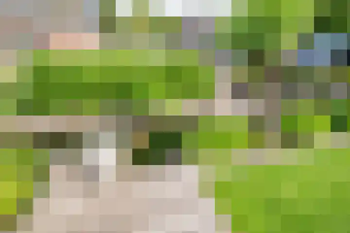 Achtersloot 76 IJsselstein thumbnail 33